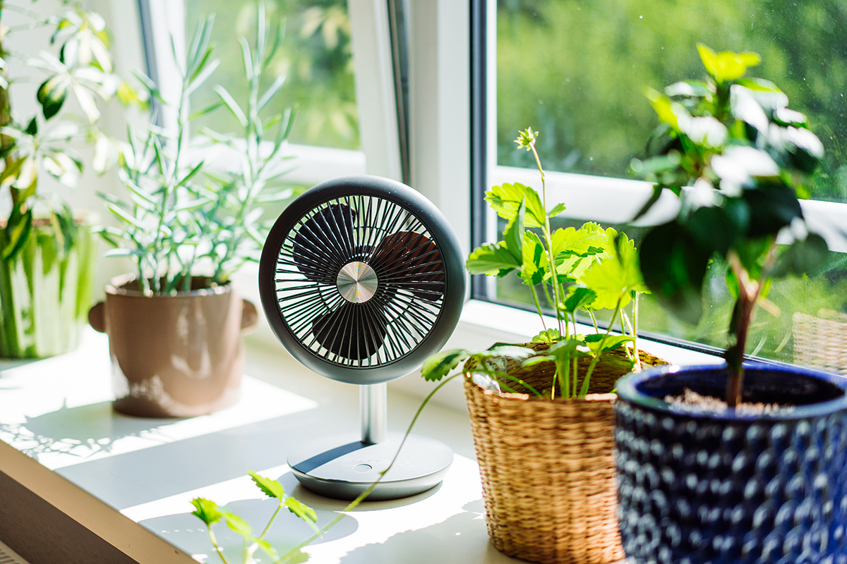 Say Goodbye to Dust: Easy Ways to Refresh Your Space